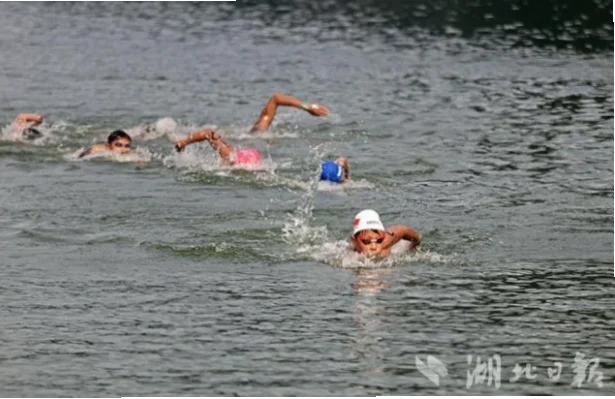 为什么10公里马拉松游泳是心理与战术的极限博弈？
